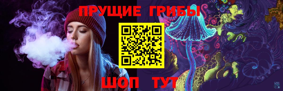 Кировск  Галлюциногенные грибы GOLDEN TEACHER  Вход с VPN 