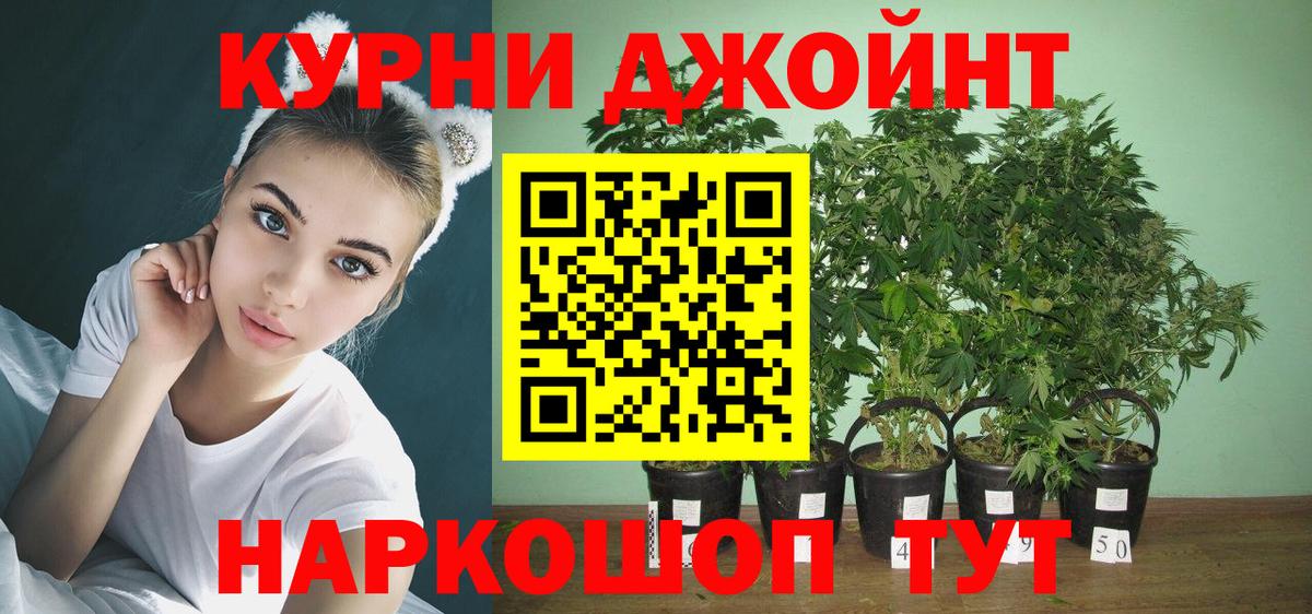 Каннабис White Widow  Вход с VPN  Кировск  Шишки марихуана конопля  Бошки Шишки ГИДРОПОН  Шишки марихуана тримм 